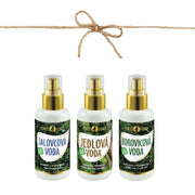 Set de Aguas del Bosque