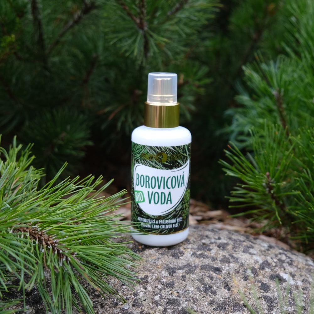 Agua de pino bio 100 ml